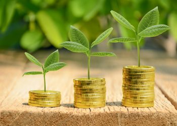 Investment, money, interest and financial concept.