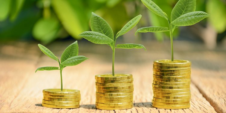 Investment, money, interest and financial concept.