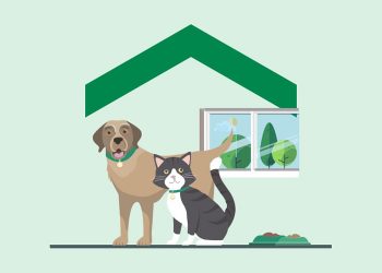 chien chat chevron illustration