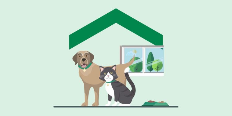 chien chat chevron illustration